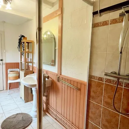 En Pierre Du Xixe Avec Jardin En Poitou - Fr-1-381-636 *